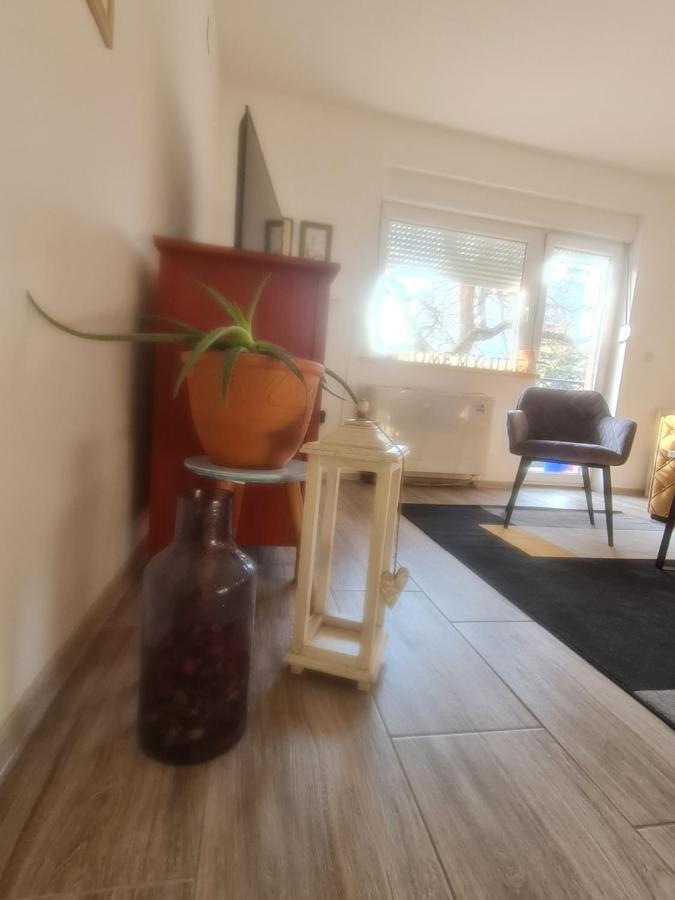Apartman Karibo Sombor Esterno foto